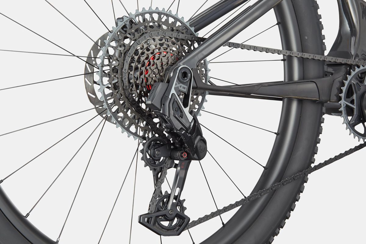 Scalpel 1 Lefty Cannondale 2024 Raw #6