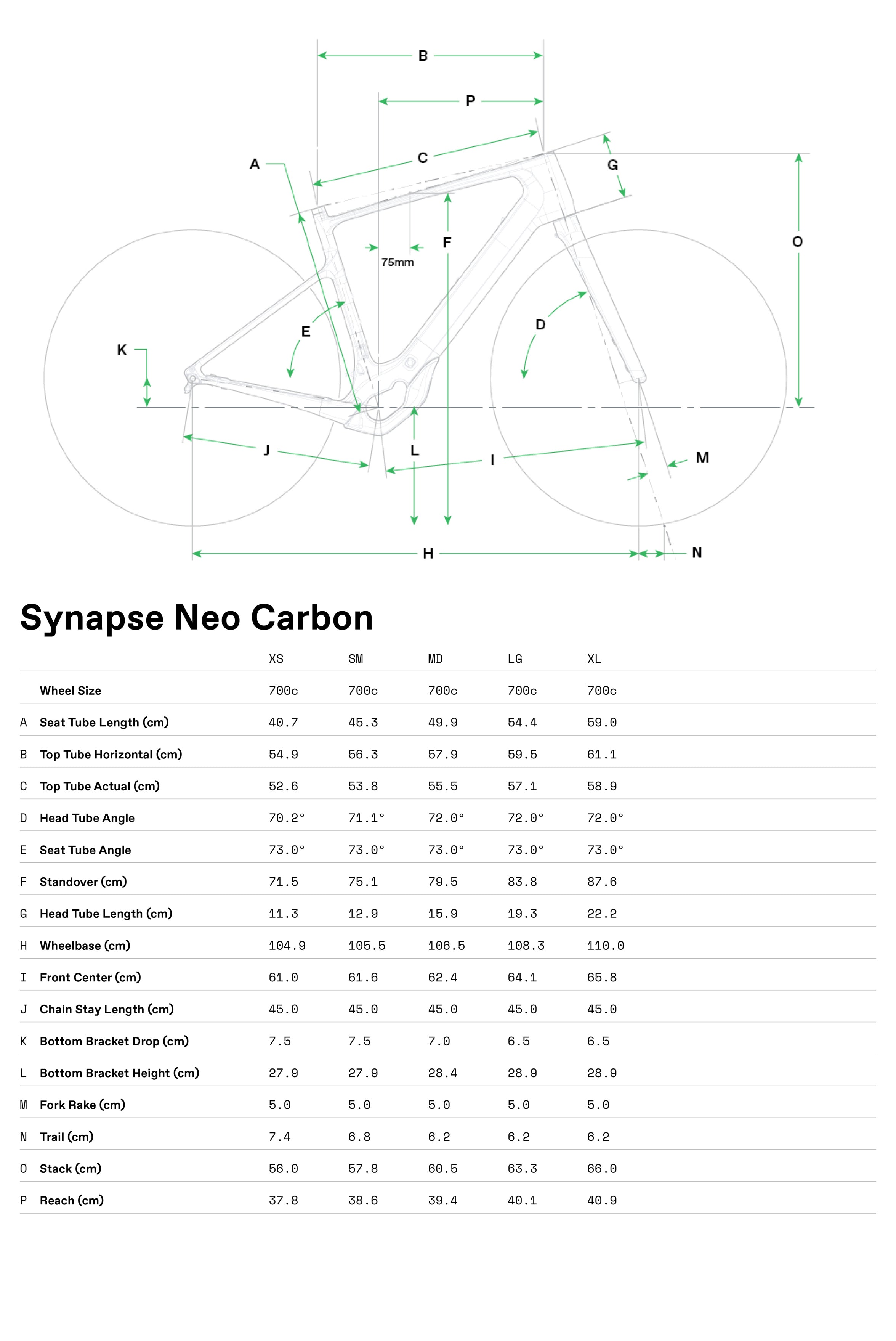 Synapse Neo Cannondale 2024 Negro #7