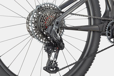 Scalpel 1 Lefty Cannondale 2024 Raw #6